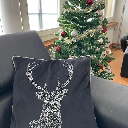 Daire Joe's Am Bolgen