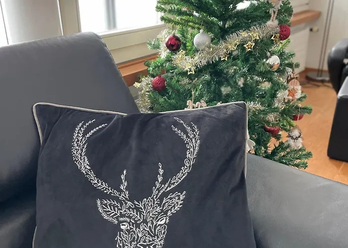 Daire Joe's Am Bolgen